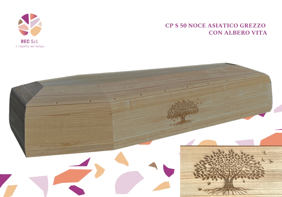 CP S 50 Noce Asiatico Grezzo Con Albero Vita