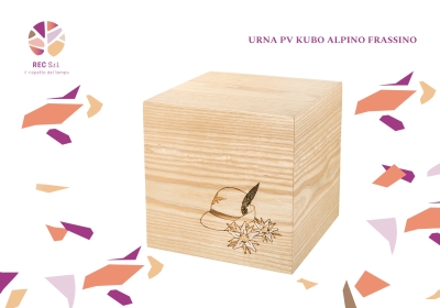 Urna PV kubo Alpino Frassino